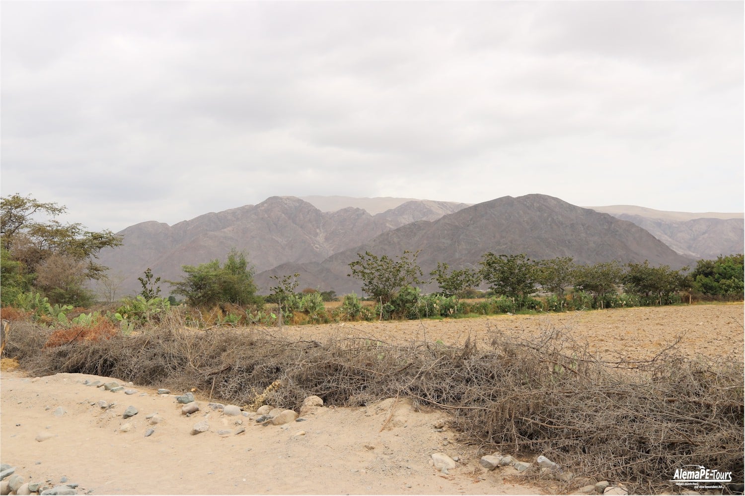 Nasca - The Aqueducts of Cantalloc