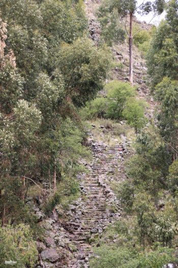 TOUR VALLE SÚR 6 Raqchi