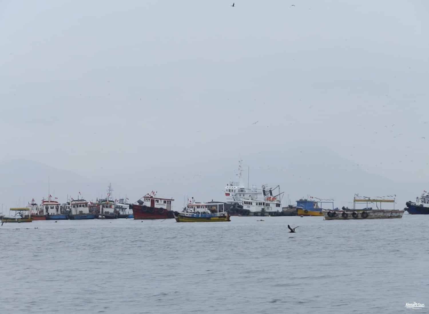 Callao - Hafenrundfahrt