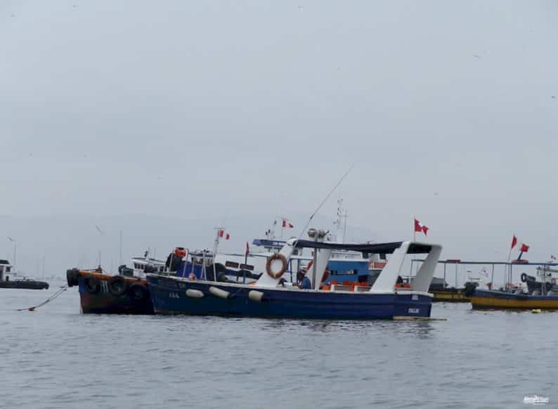 Callao - Islas Palomino