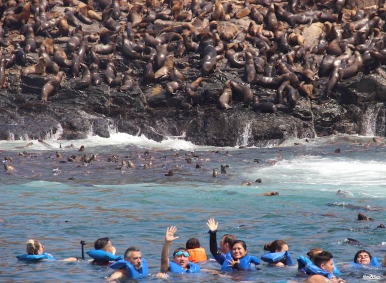 Callao - Islas Palomino