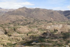 Chivay - Cañon Colca