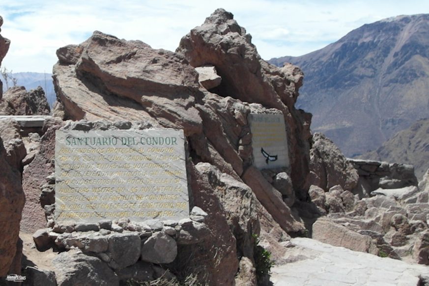 Chivay - Cañon Colca