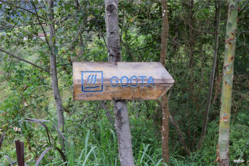 Chachapoyas - Catarata de Gocta