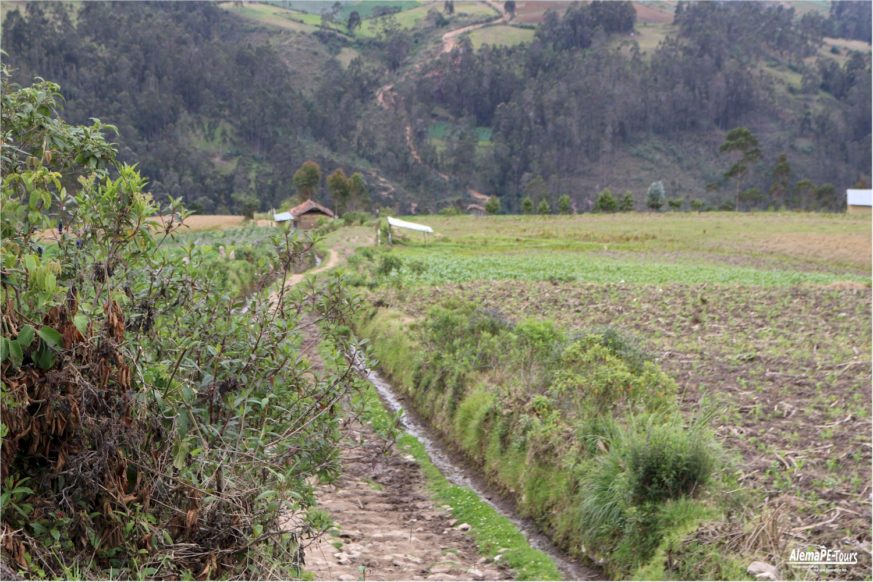 Chachapoyas - Karajia