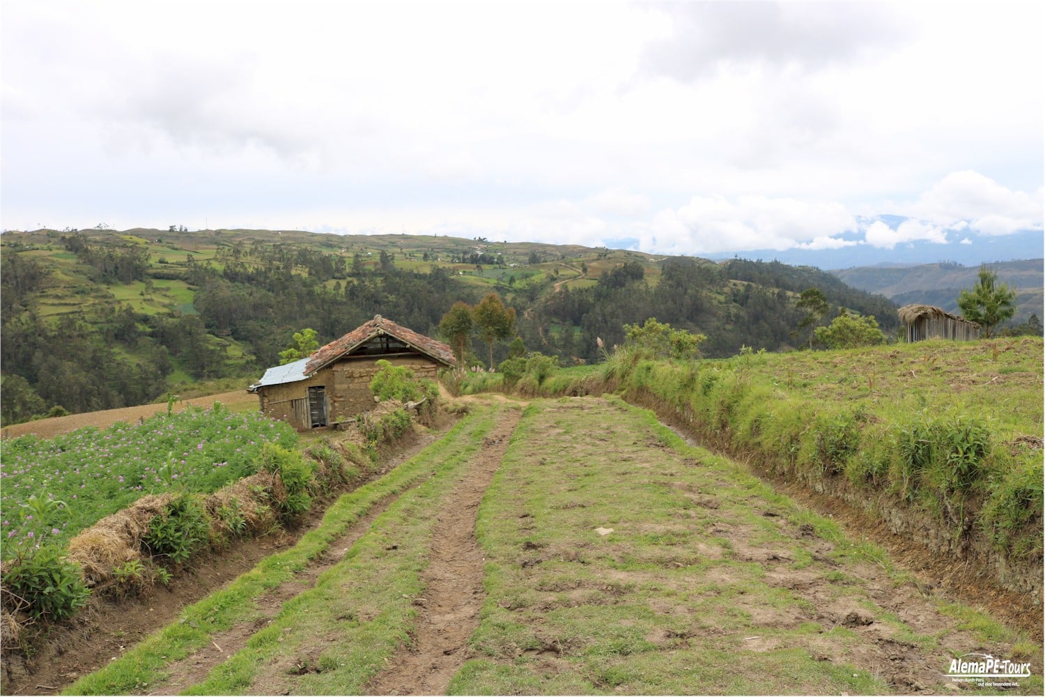 Chachapoyas - Karajia