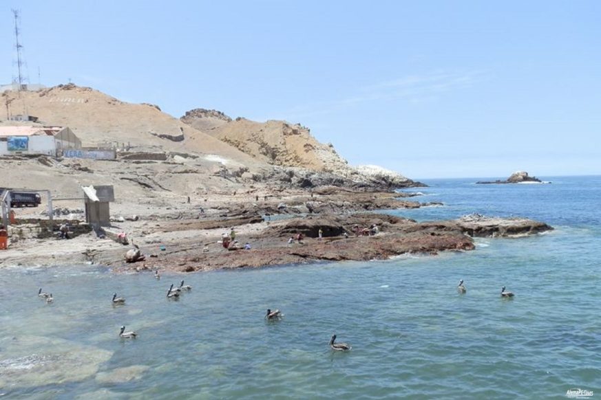 AlemaPE-Tours | Chala