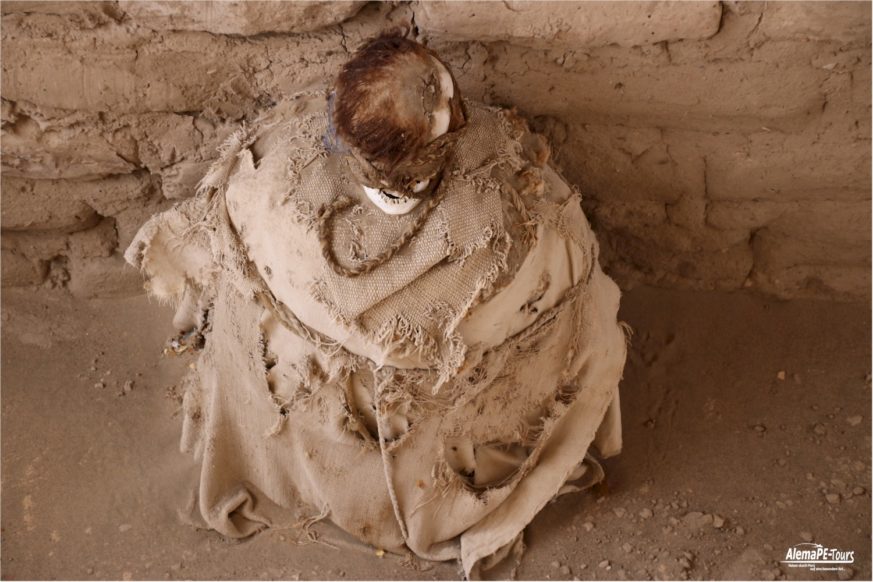 Nasca - Chauchilla - Cemeterio Inca