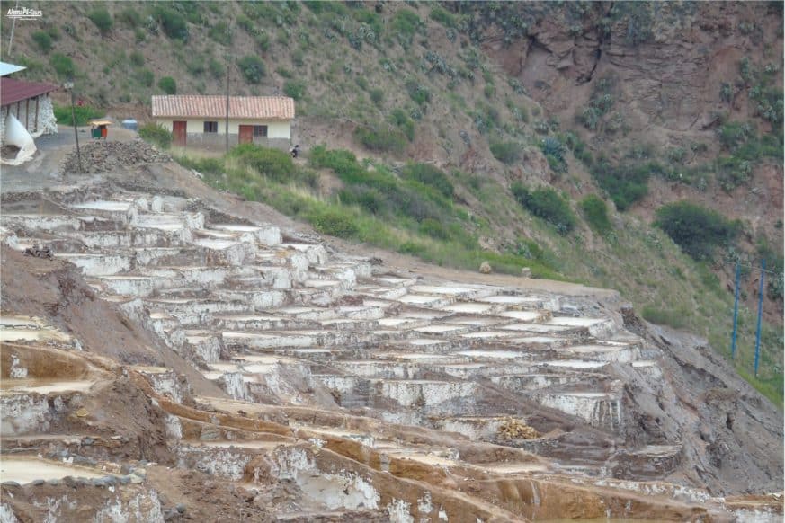 Cusco - Salineras de Maras