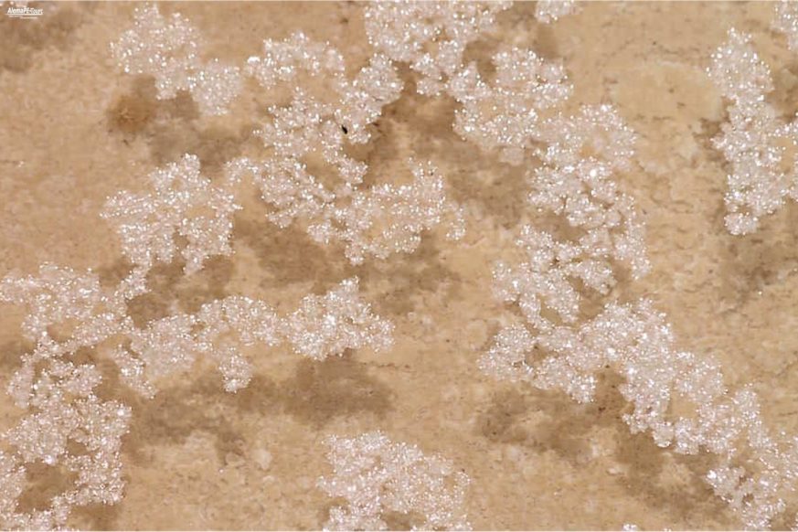 Cusco - Salineras de Maras