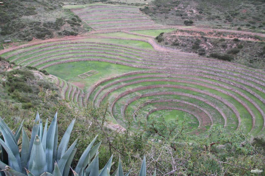 Cusco - Terrazas de Moray