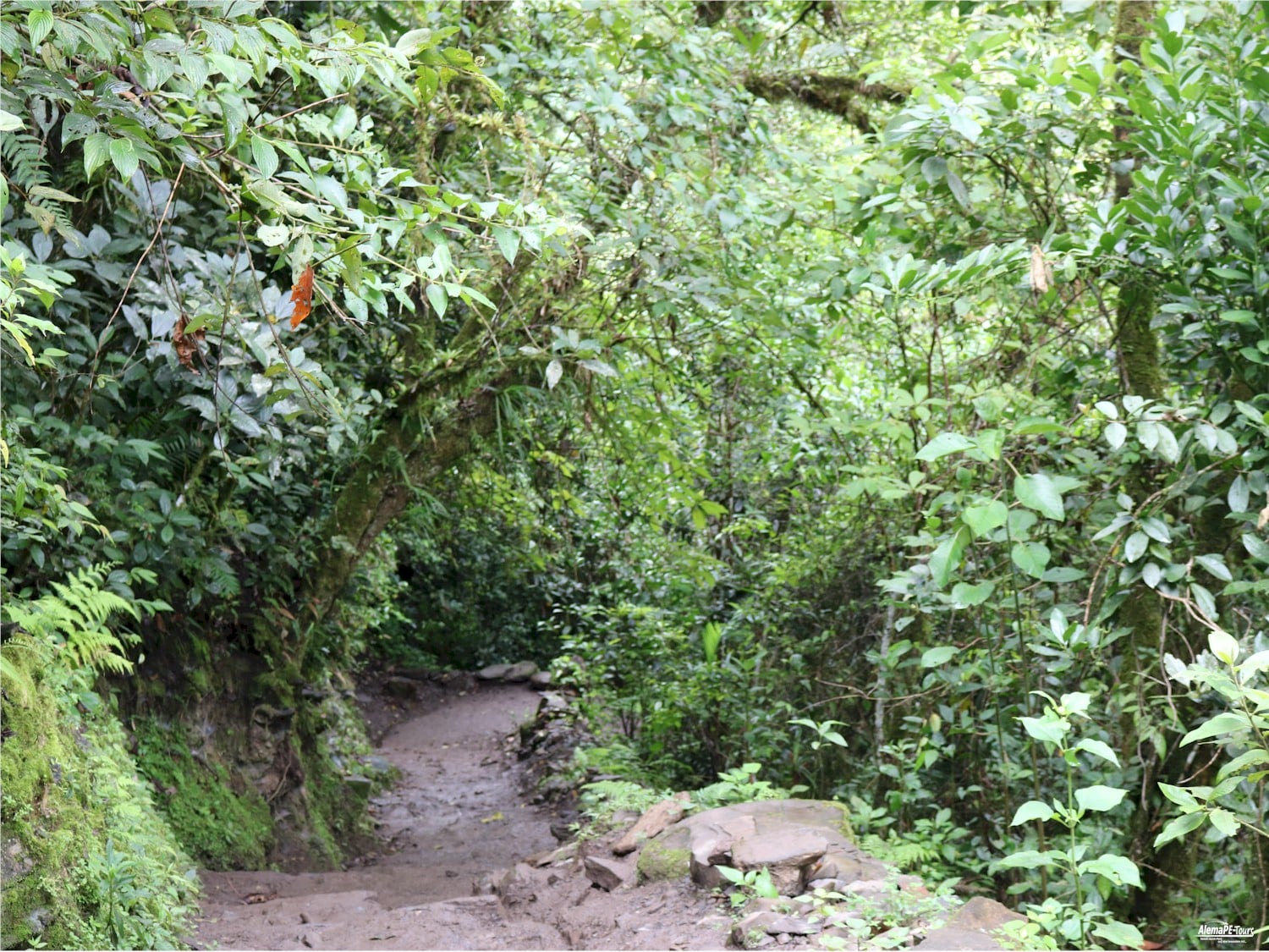 Chachapoyas - Cocachimba - Catarata de Gocta