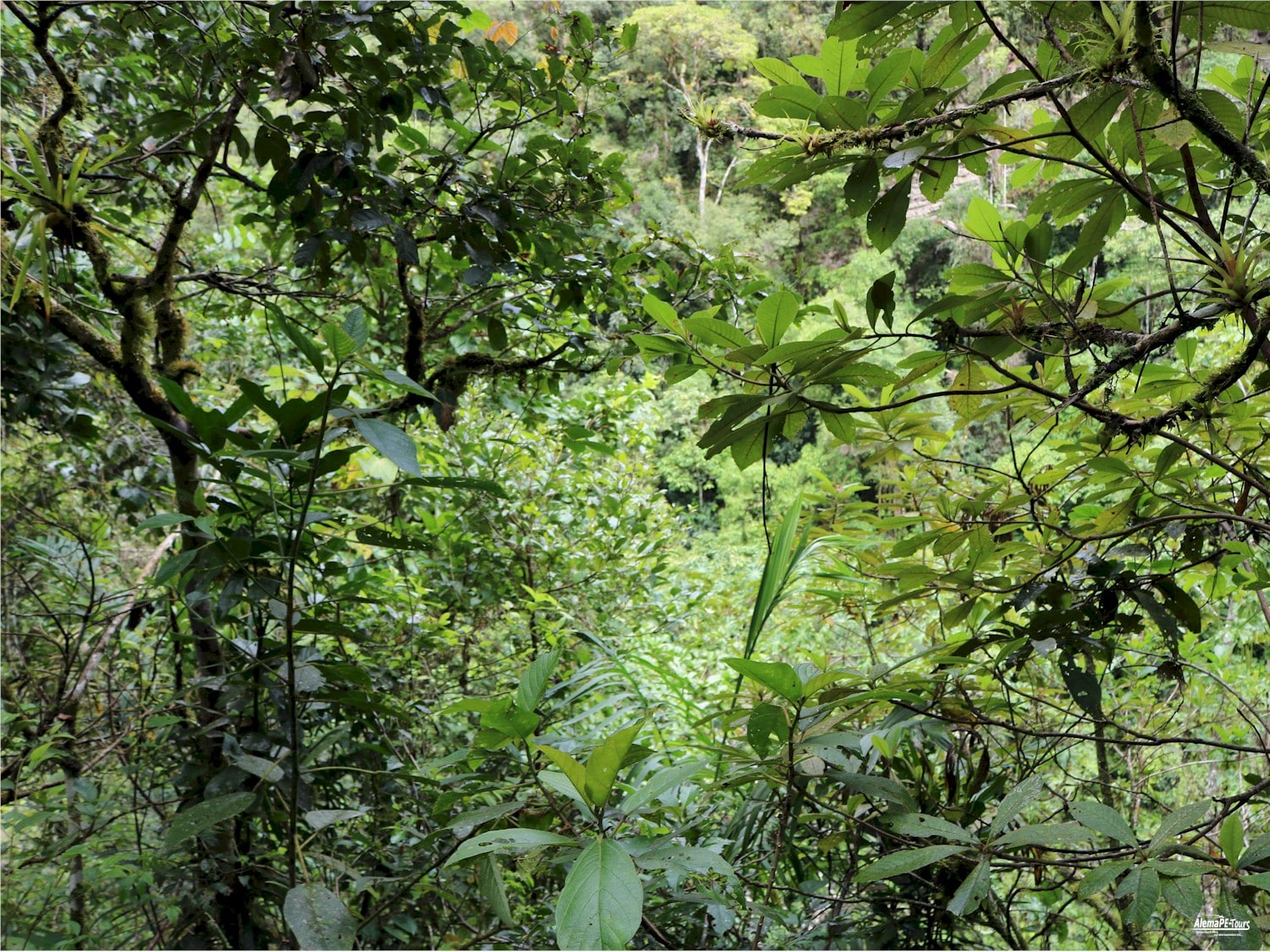 Chachapoyas - Cocachimba - Catarata de Gocta