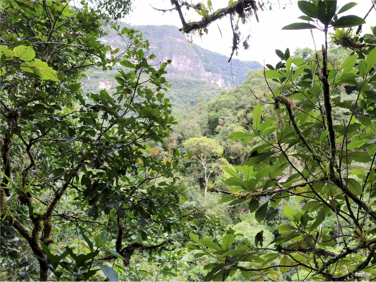 Chachapoyas - Cocachimba - Catarata de Gocta