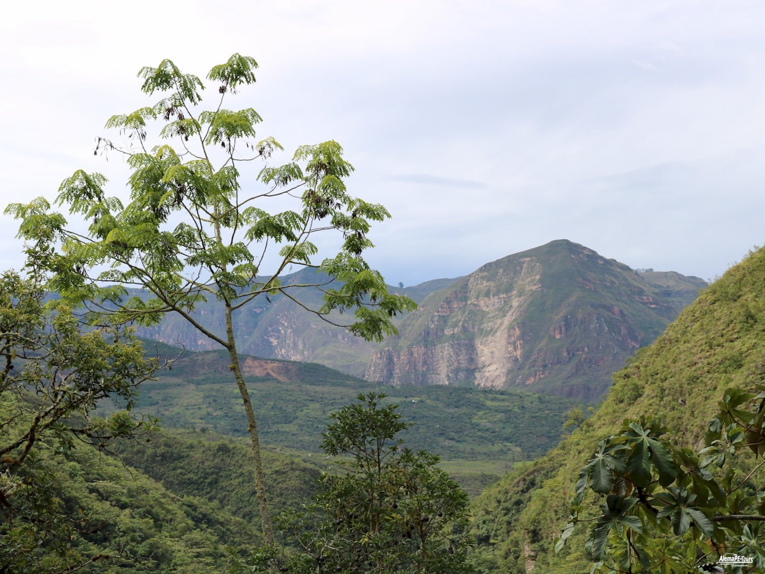 Chachapoyas - Cocachimba - Catarata de Gocta