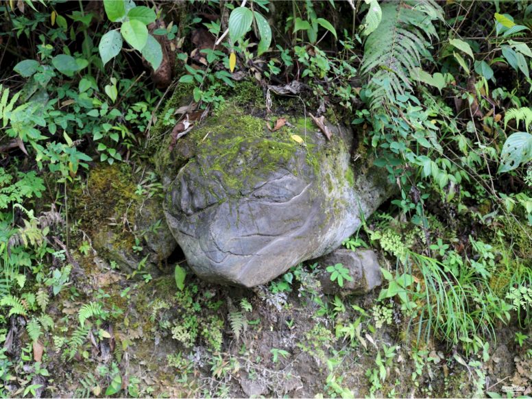 Chachapoyas - Cocachimba - Catarata de Gocta