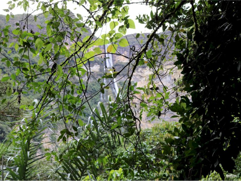 Chachapoyas - Cocachimba - Catarata de Gocta