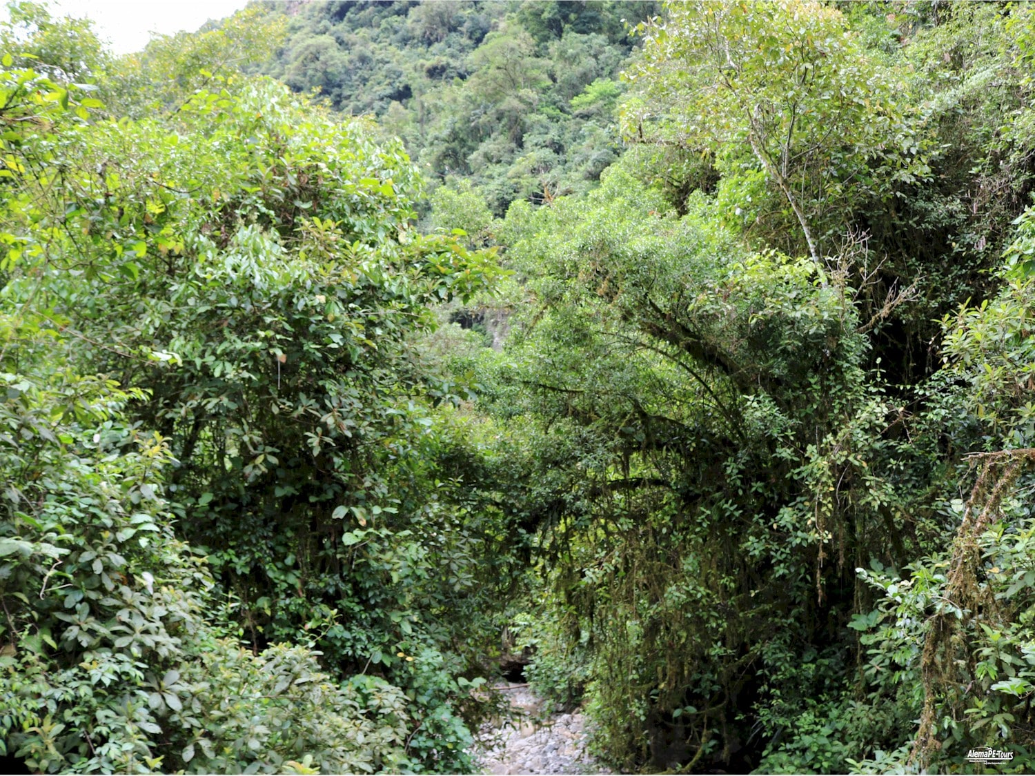 Chachapoyas - Cocachimba - Catarata de Gocta