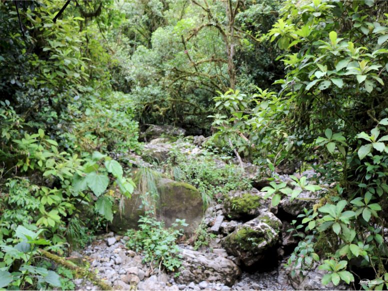 Chachapoyas - Cocachimba - Catarata de Gocta