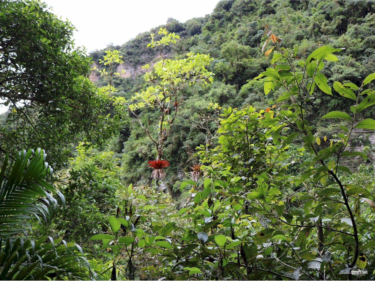 Chachapoyas - Cocachimba - Catarata de Gocta
