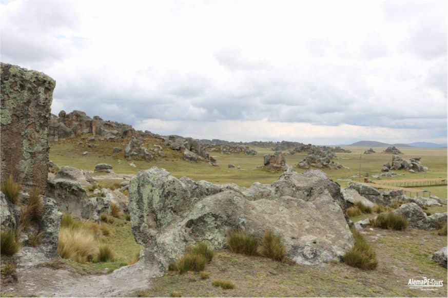 Huallay - Bosque de Piedras