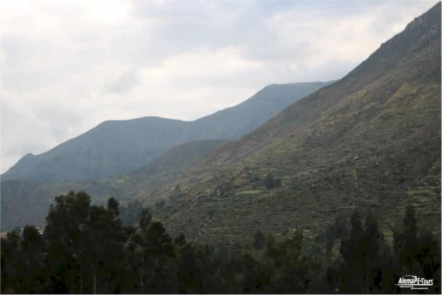 Huancaya