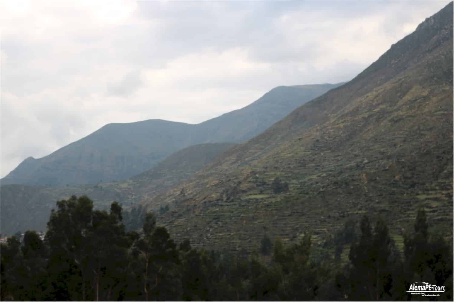 Huancaya
