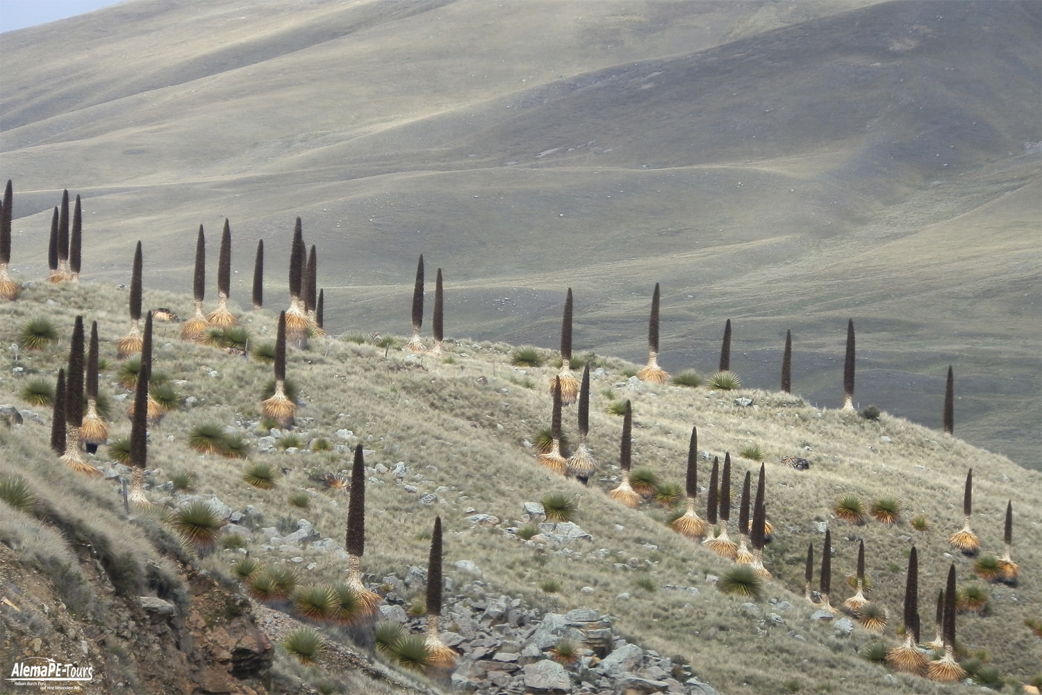 Huaraz - Parque Nacional Huascarán