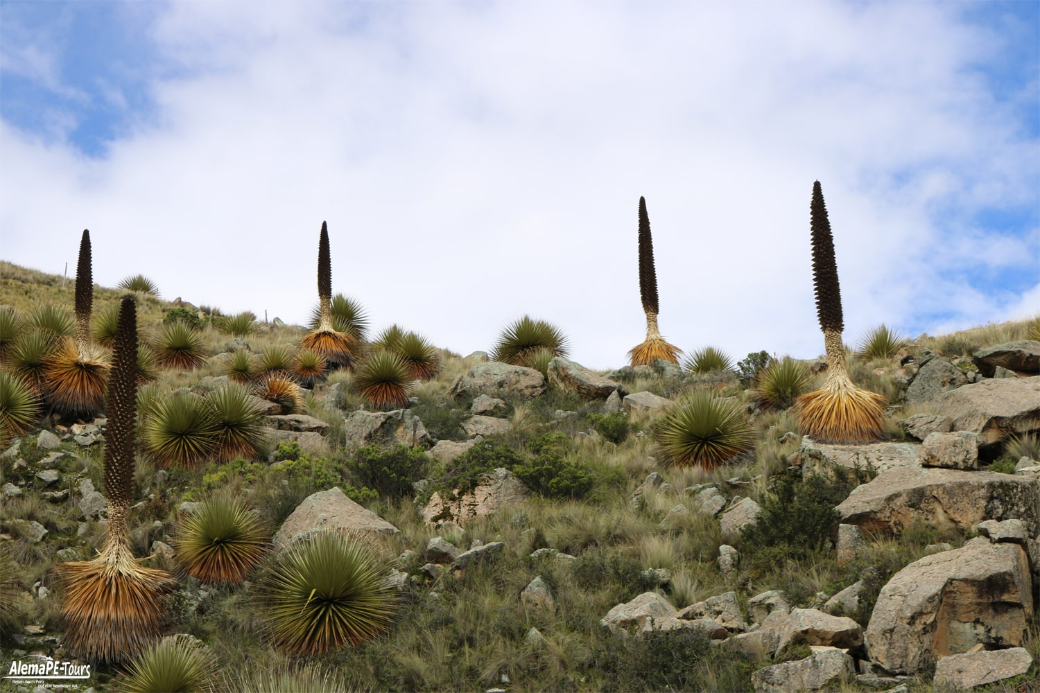 Huaraz - Parque Nacional Huascarán