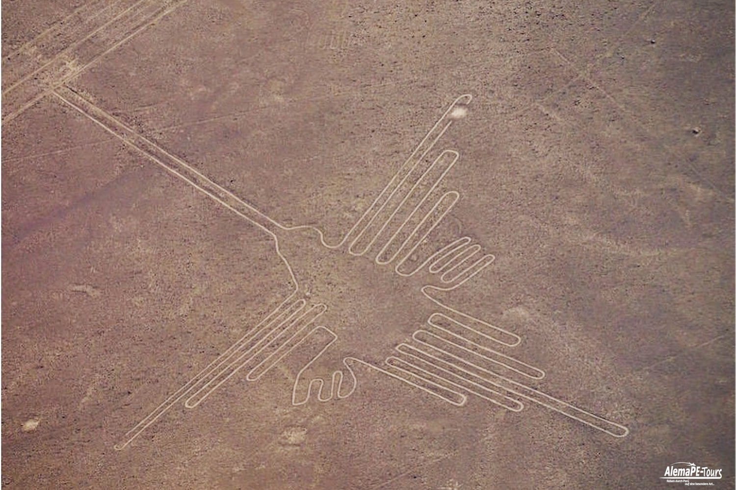 Nasca - Las Lineas de Nasca