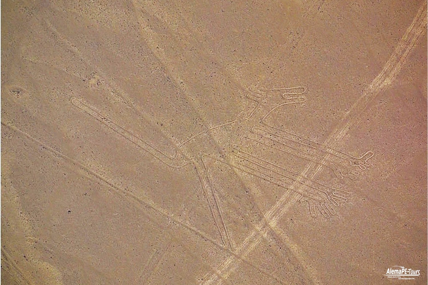 Nasca - Las Lineas de Nasca