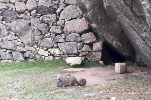 Cusco - Aguas Calientes - Machu Picchu