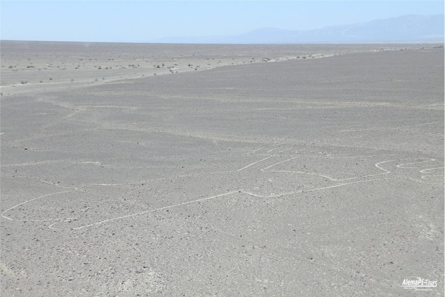Nasca - Las Lineas de Nasca