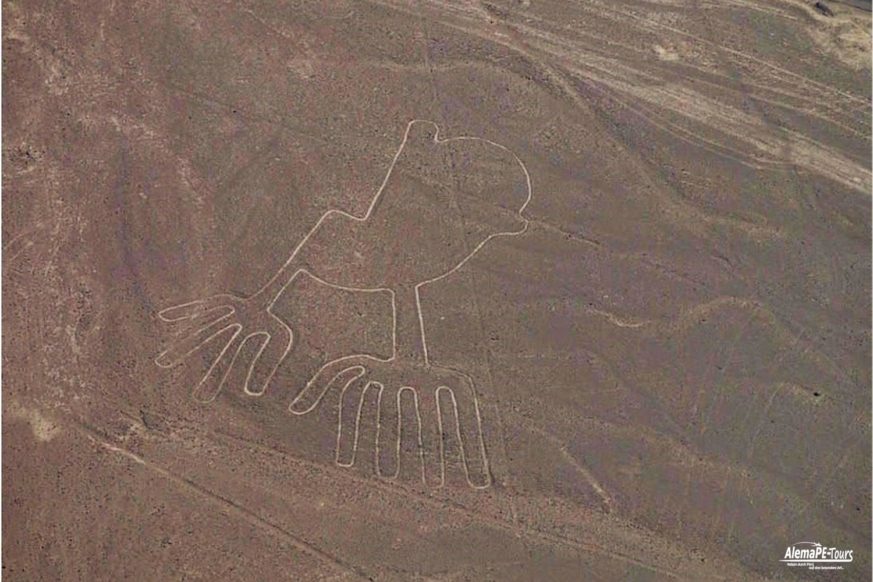Nasca - Lineas de Nasca - Vuelo