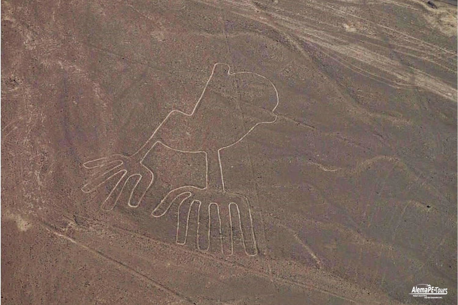 Nasca - Lineas de Nasca - Vuelo