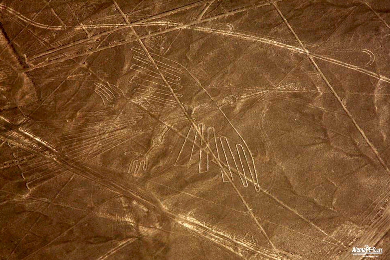 Nasca - Lineas de Nasca - Vuelo
