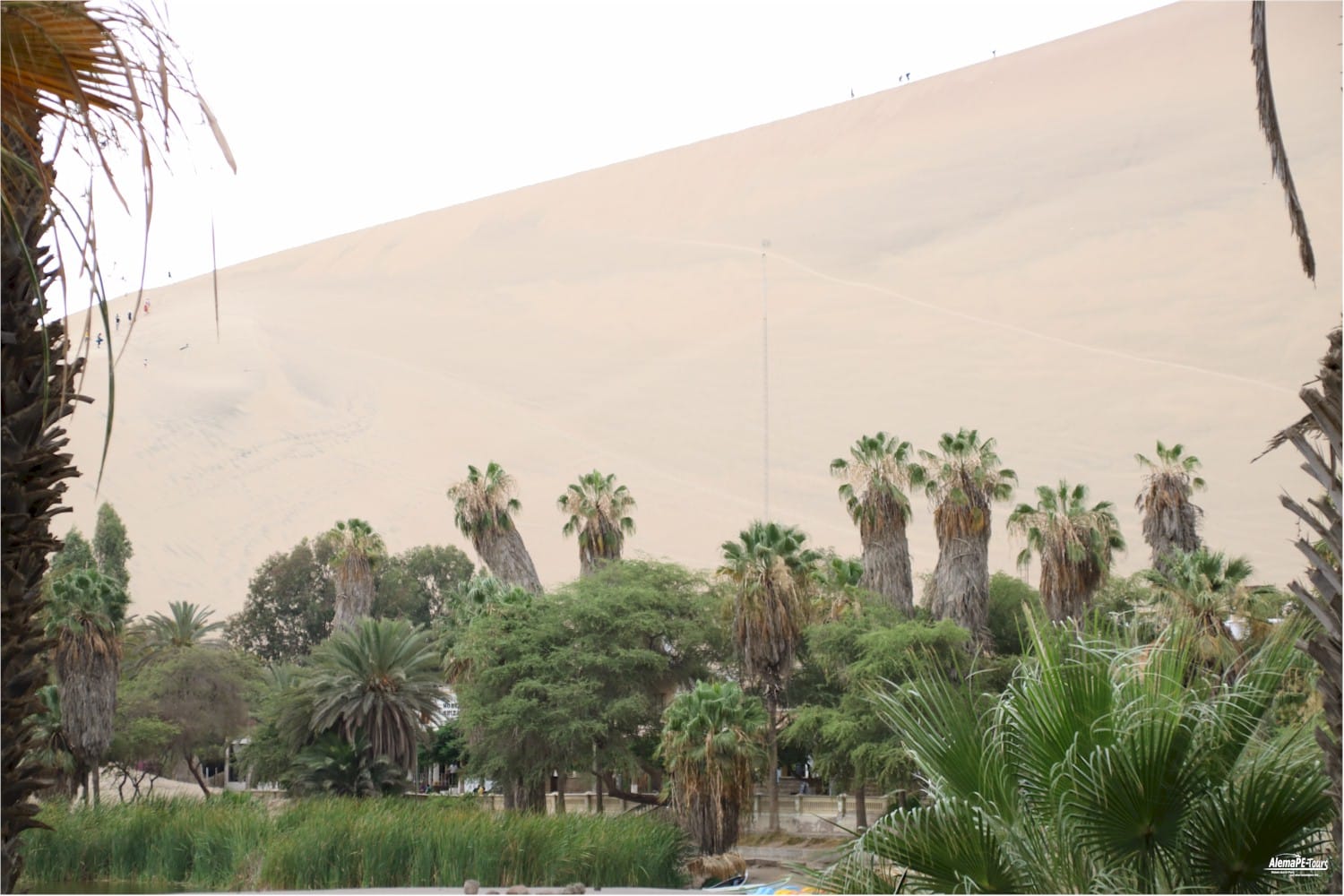 Ica - Oasis Huacachina
