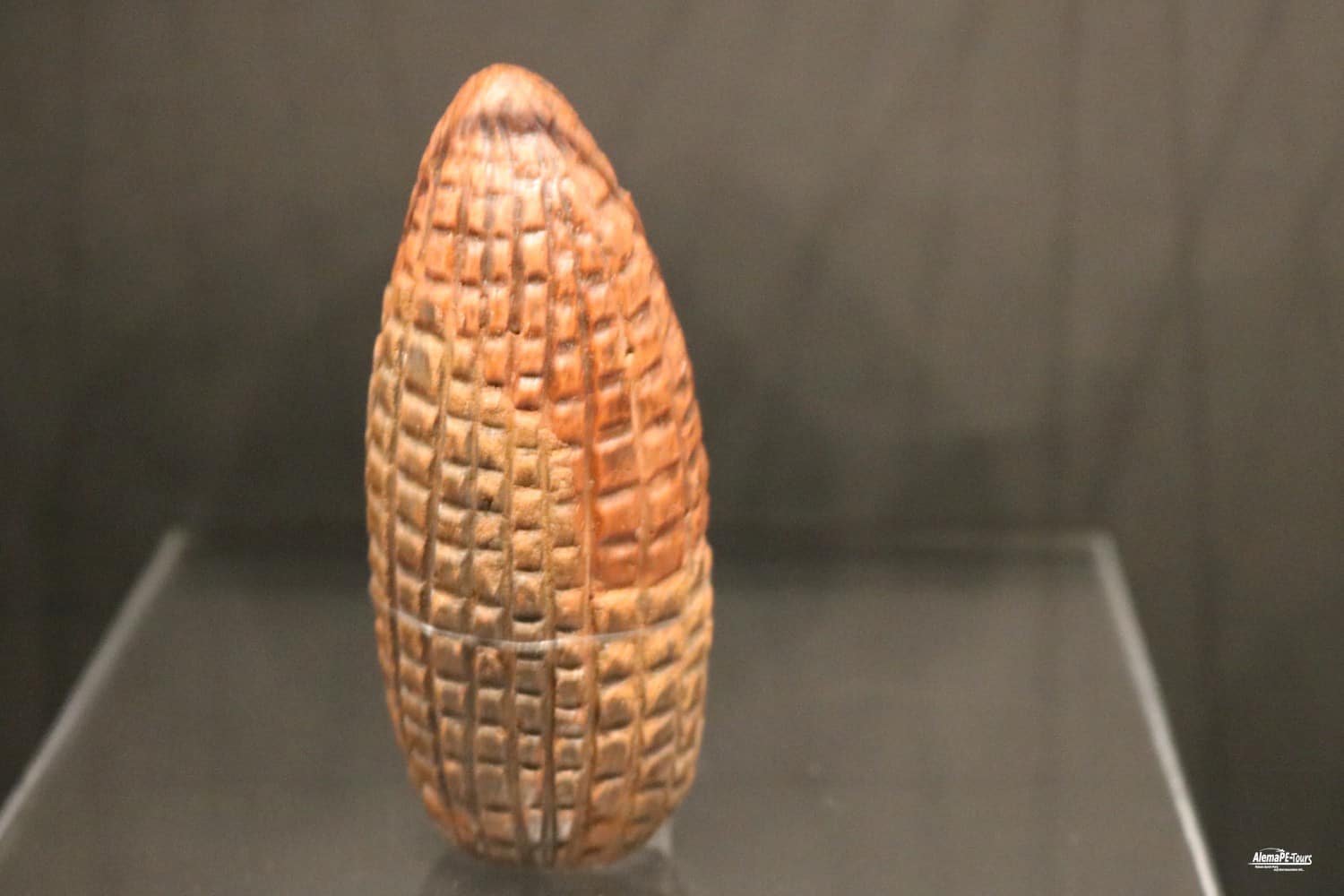 Lima - Museo y Sitio Pachacamac