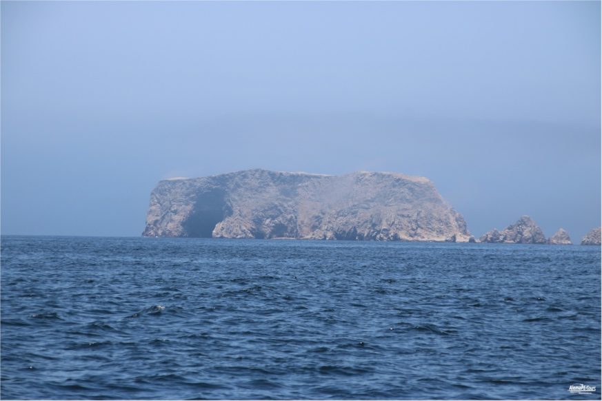 Paracas - Islas Ballestas
