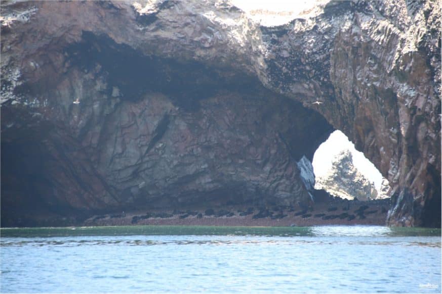 Paracas - Islas Ballestas