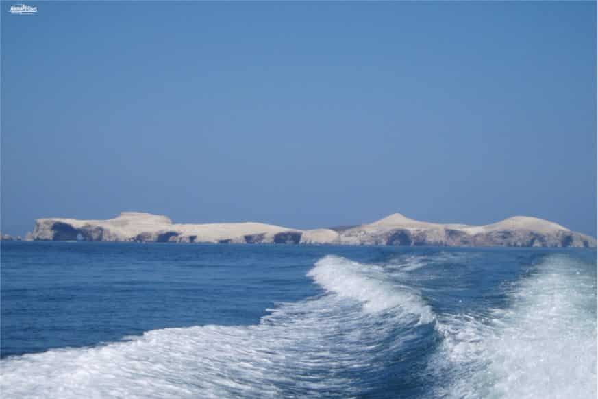 Paracas - Islas Ballestas
