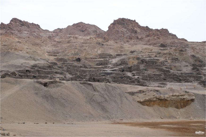 Puerto Inka - Complejo Arquelógico Quebrada de la Vaca