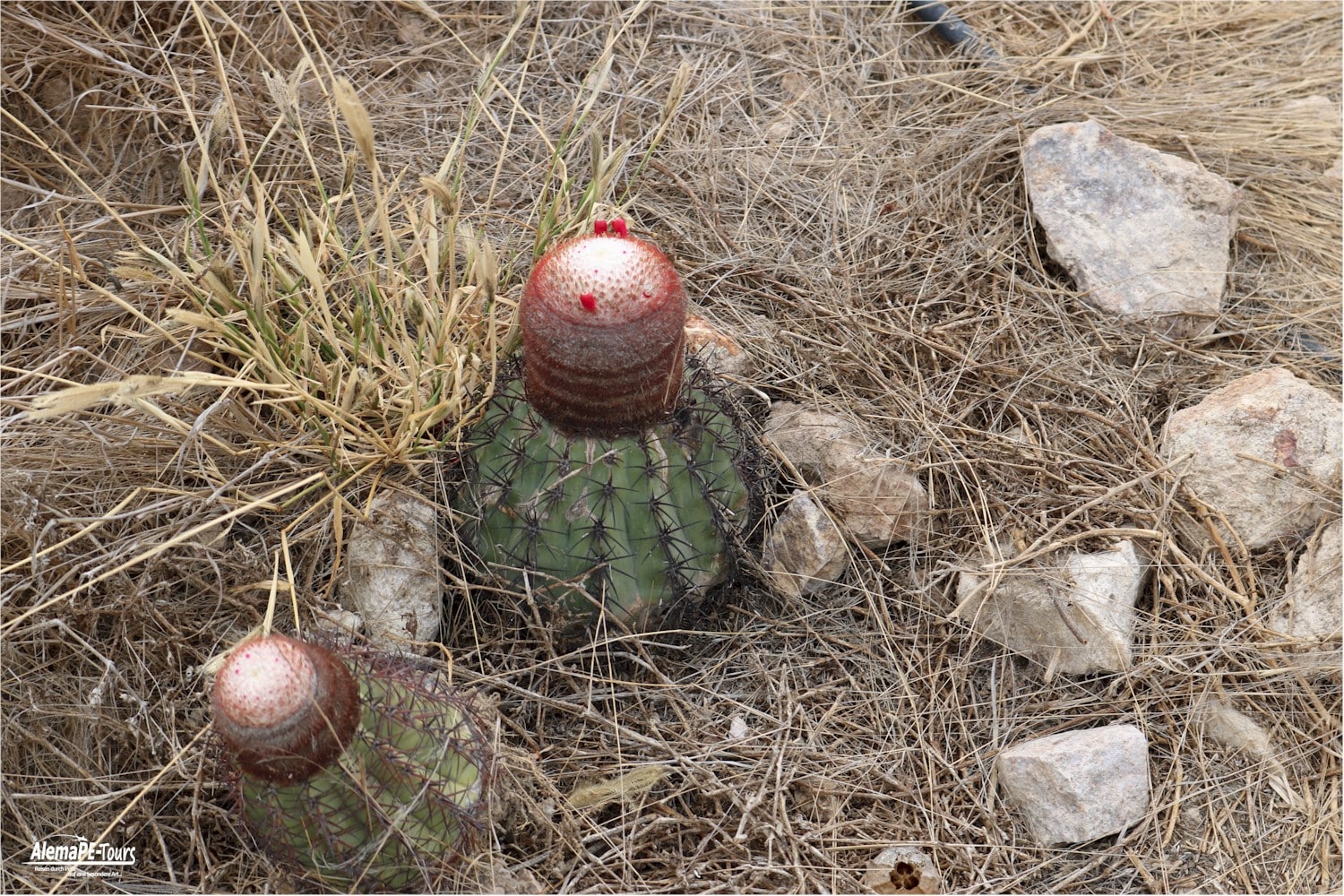 Chiclayo - Túcume - Museo de Sitio de Túcume