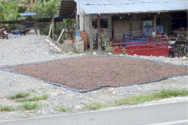 KAFFEE UND KAKAO ROUTE 4 Tarapoto - Anreise