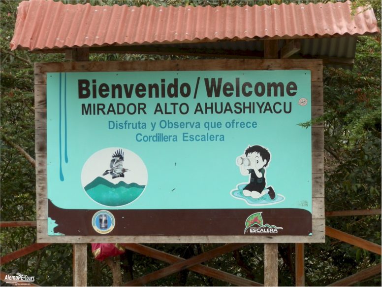 Tarapoto - Catarata de Ahuashiyacu