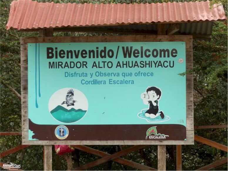 Tarapoto - Catarata de Ahuashiyacu