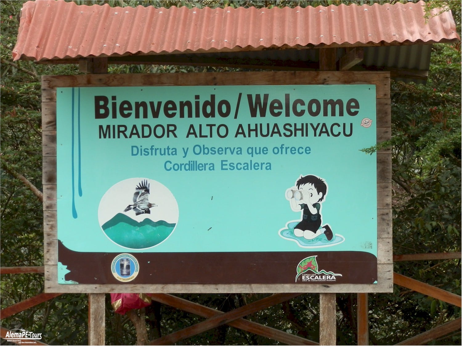 Tarapoto - Catarata de Ahuashiyacu