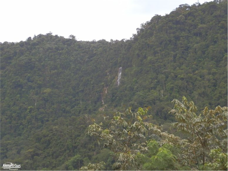 Tarapoto - Catarata de Ahuashiyacu