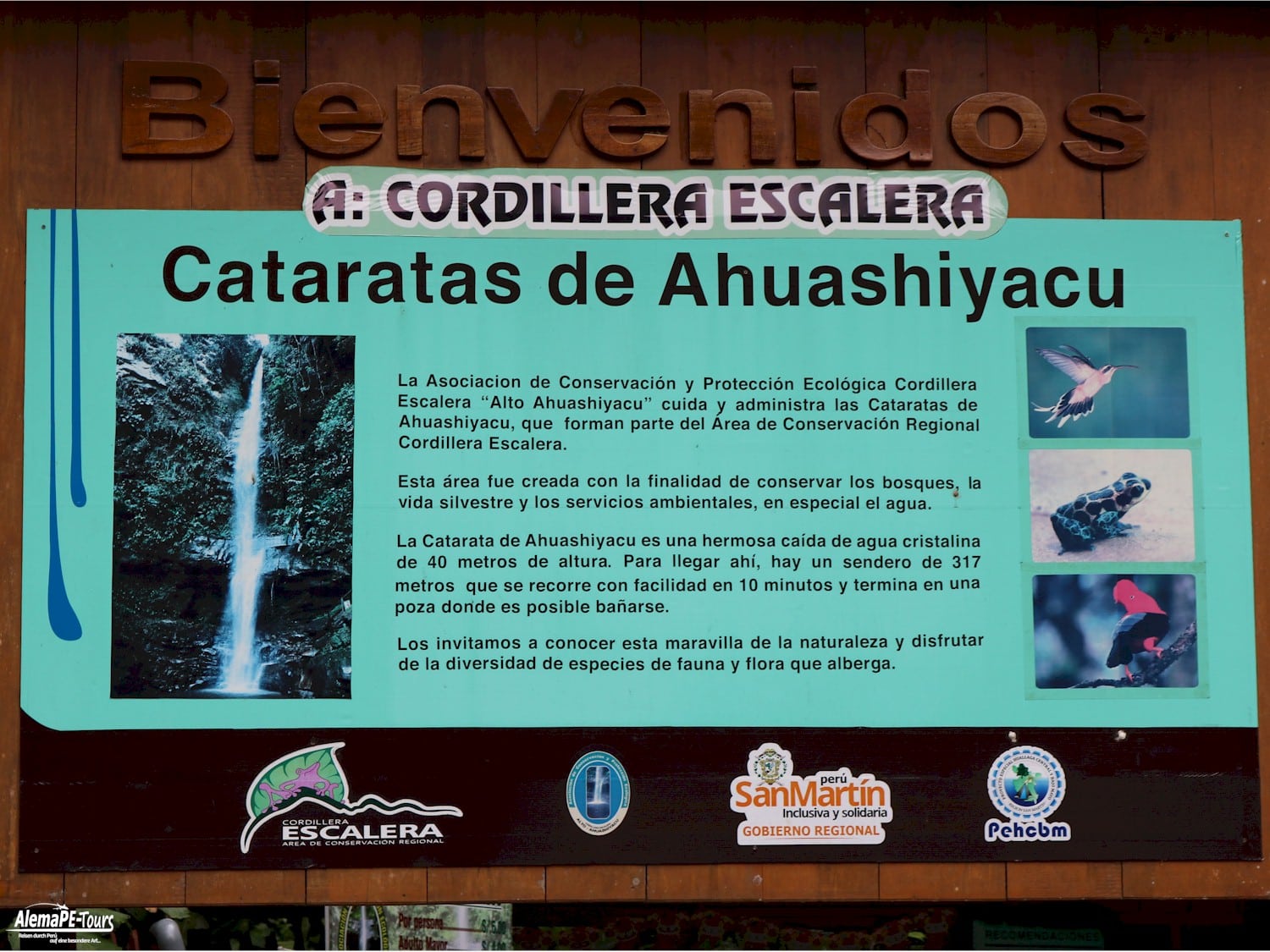 Tarapoto - Catarata de Ahuashiyacu