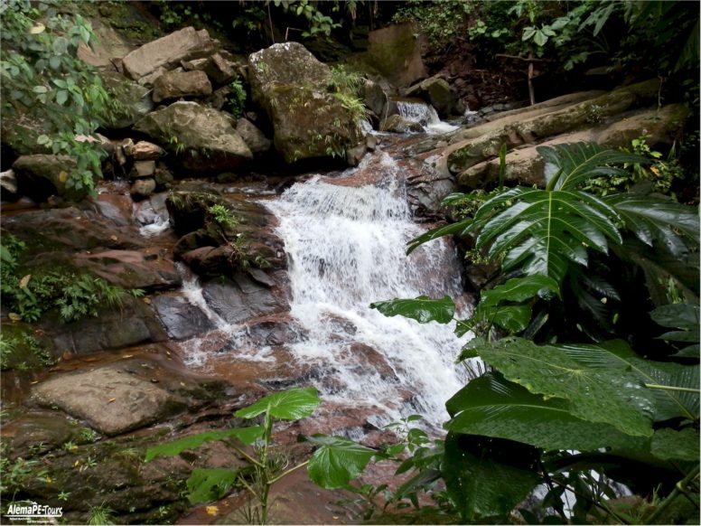 Tarapoto - Catarata de Ahuashiyacu